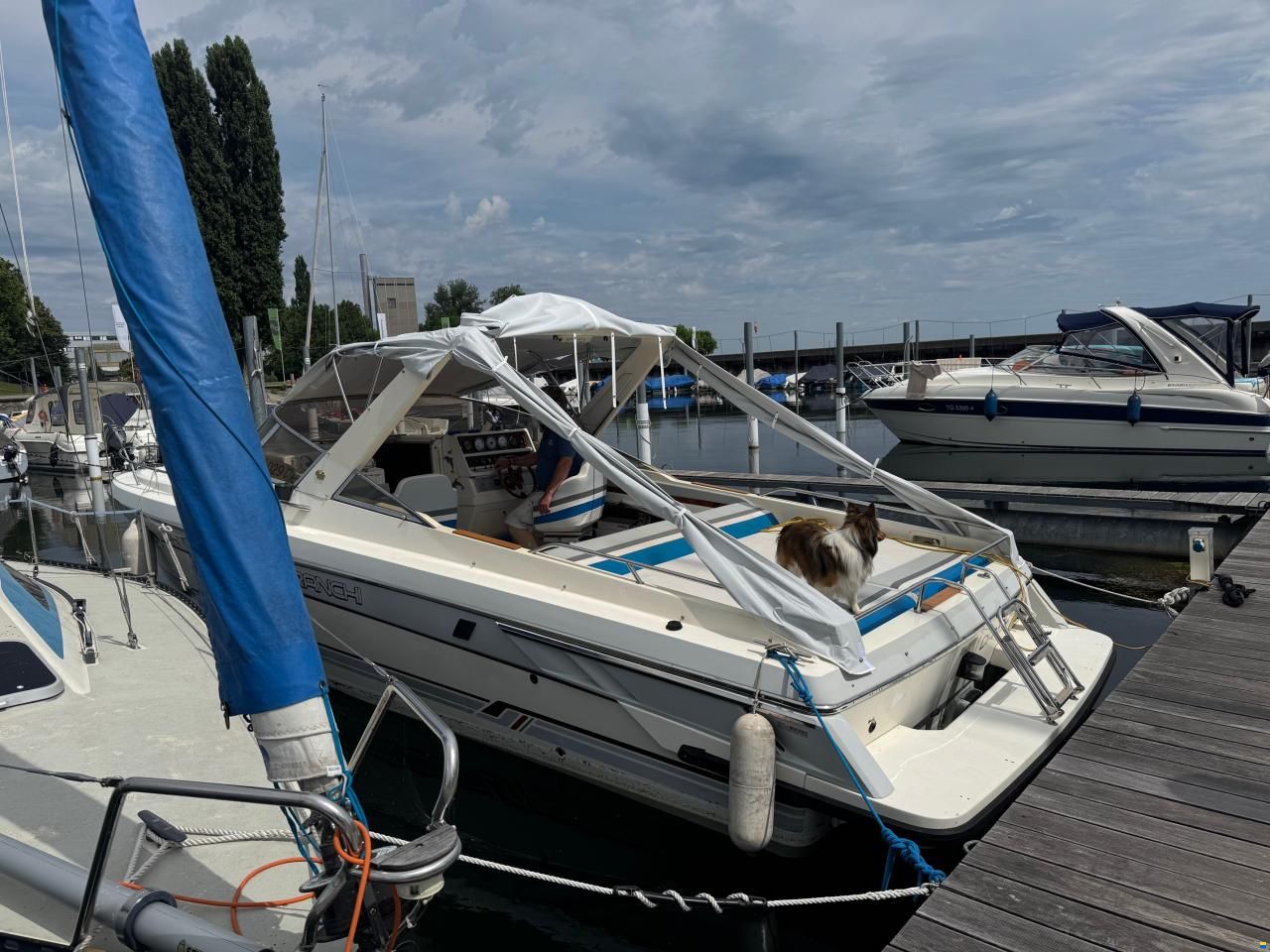 Cranchi Endurance 31
