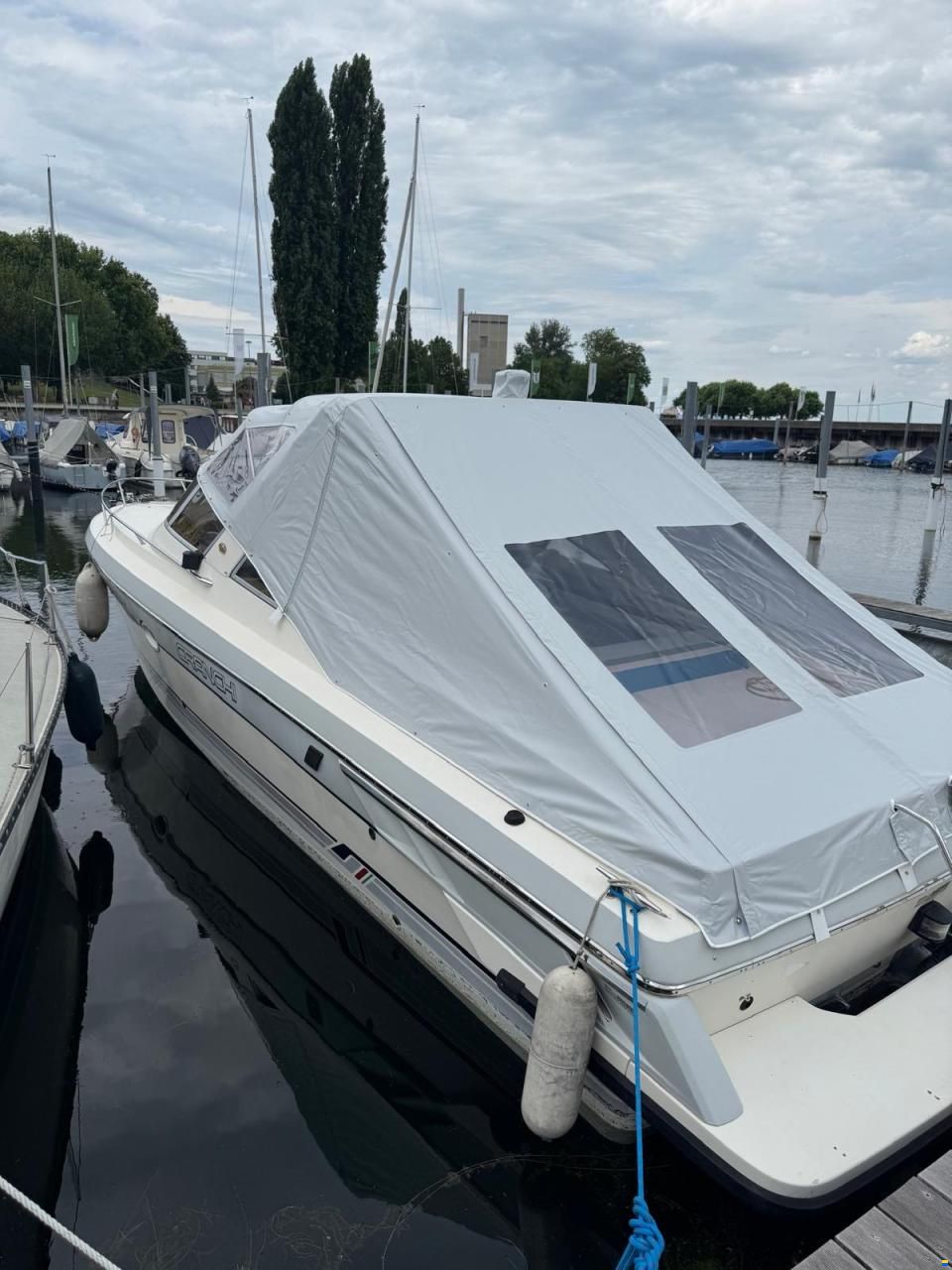 Cranchi Endurance 31