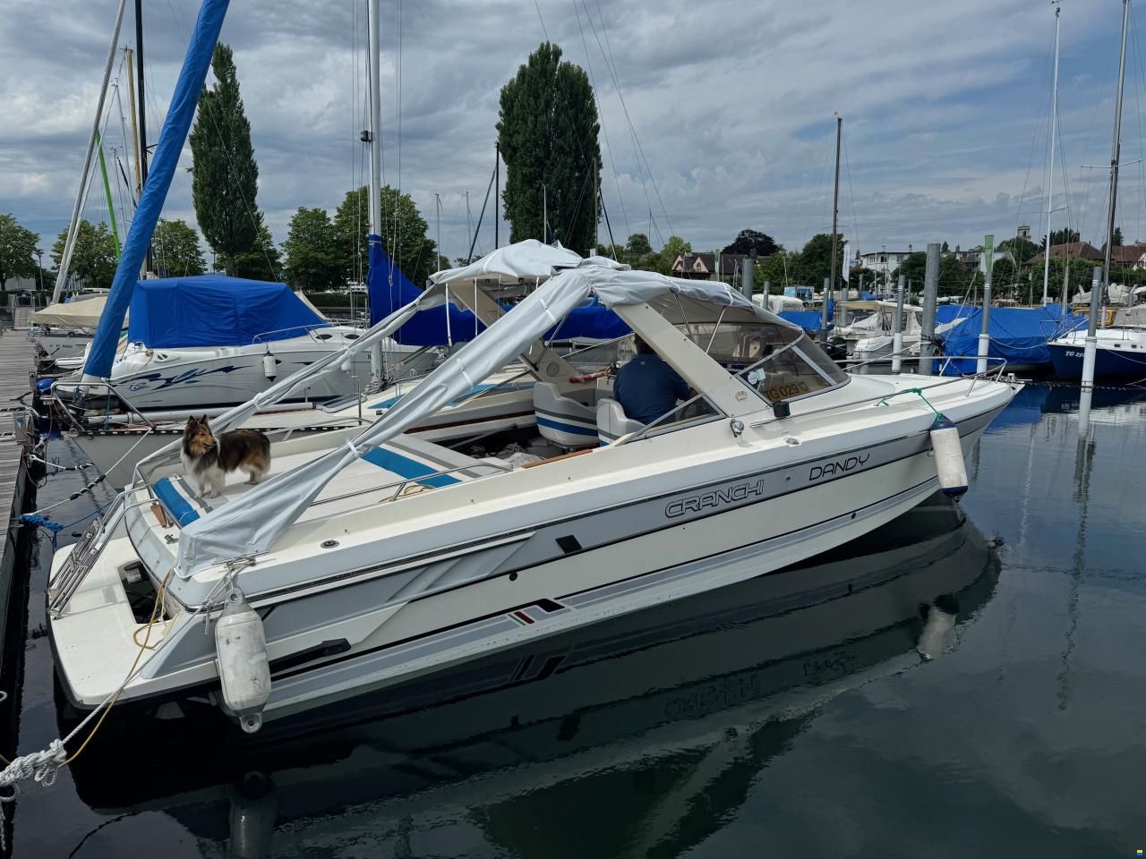 Cranchi Endurance 31