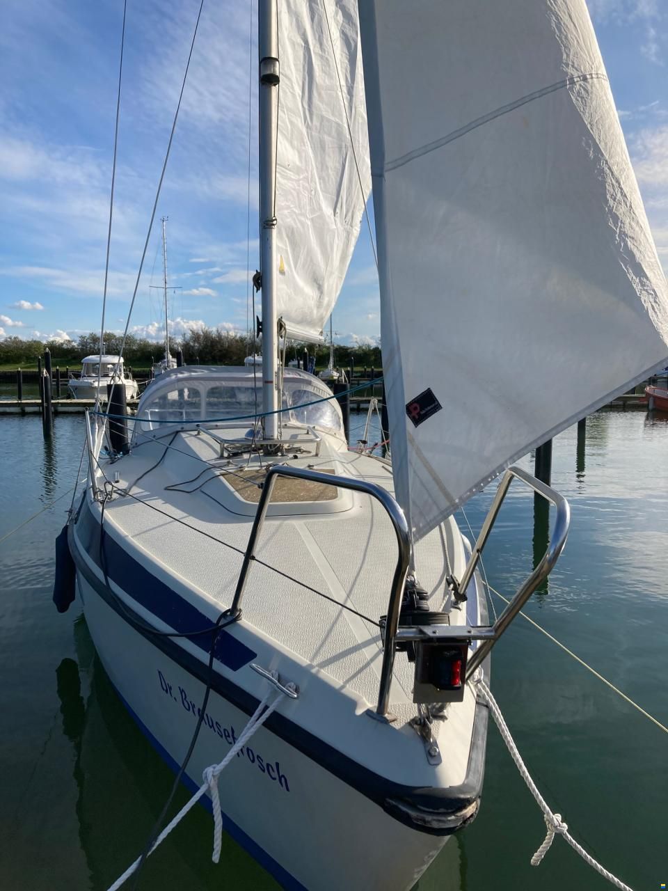 Pelle Peterson Maxi 68