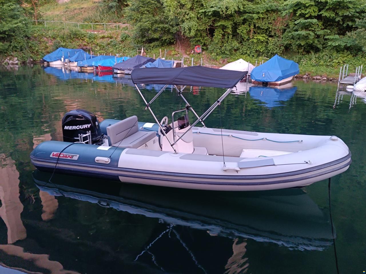 Valiant 550 Comfort 80 PS