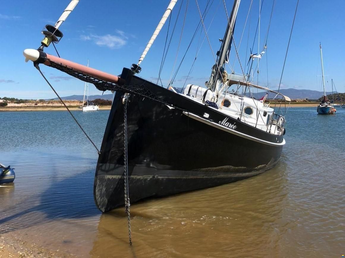 Puffin 42