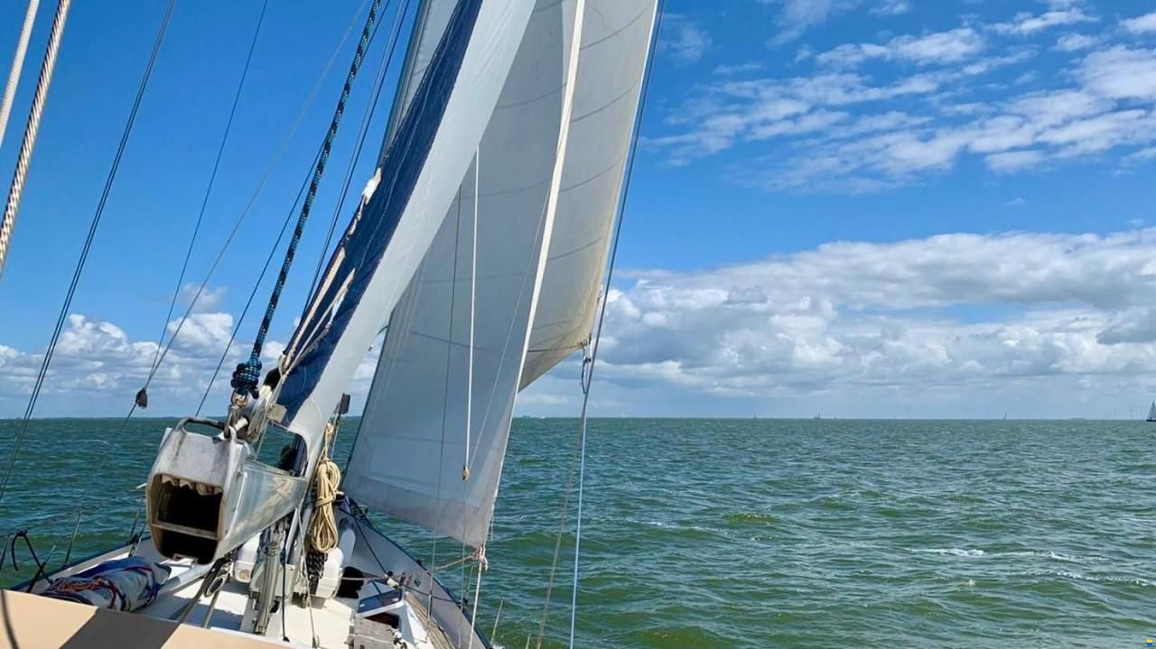 Puffin 42