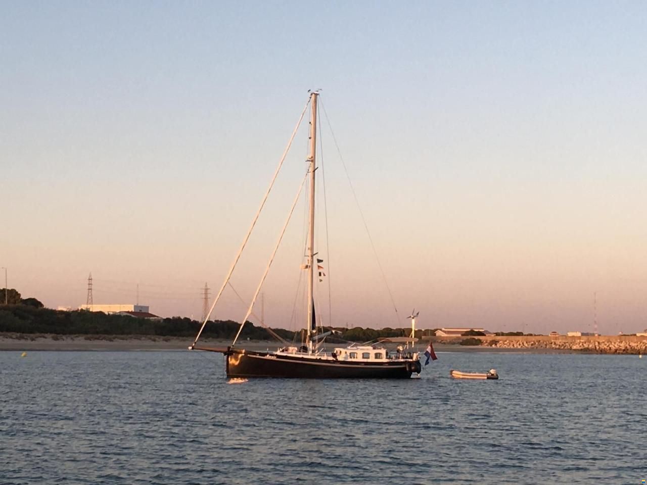 Puffin 42