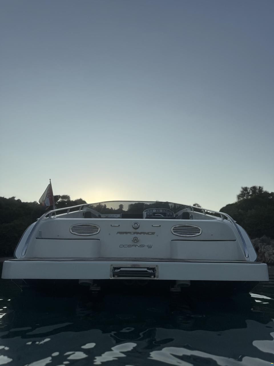 Performance 907