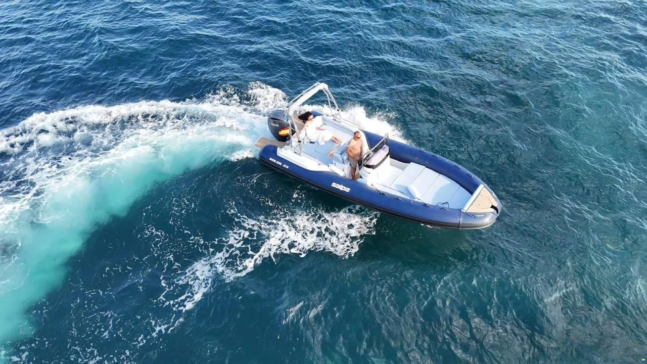 Salpa Soleil 23