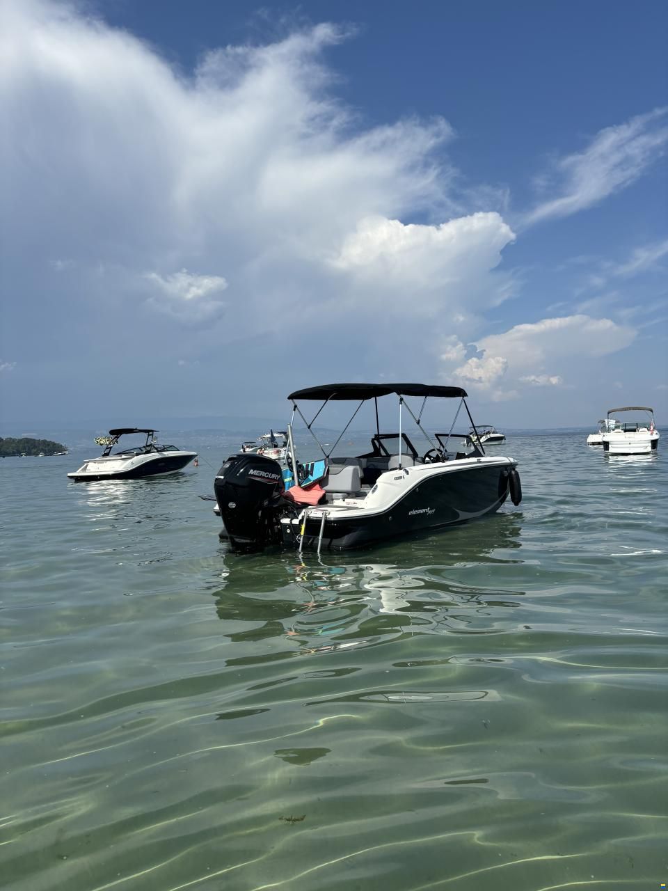Bayliner M19