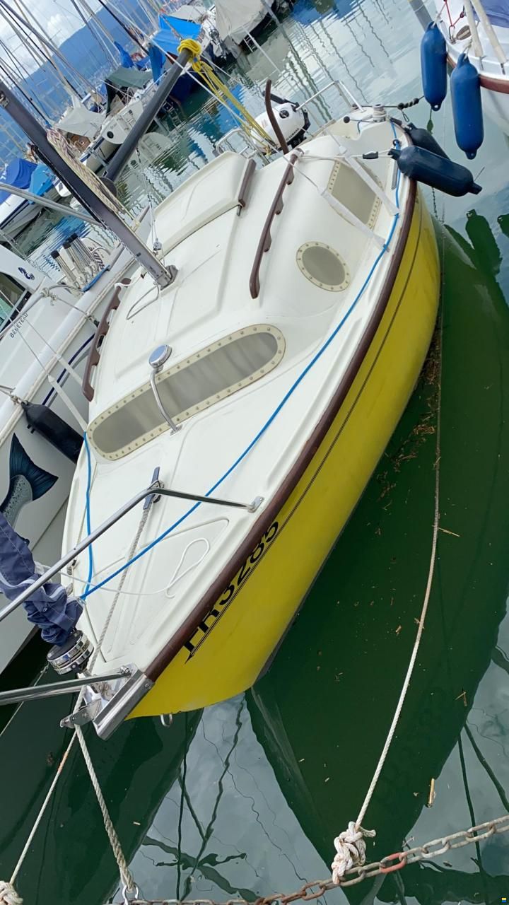 Cobramold Leisure 17