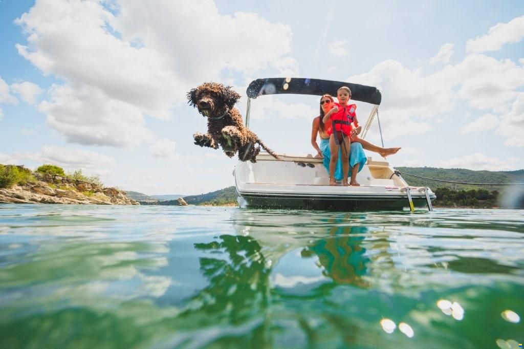 Bayliner V20i Bowrider