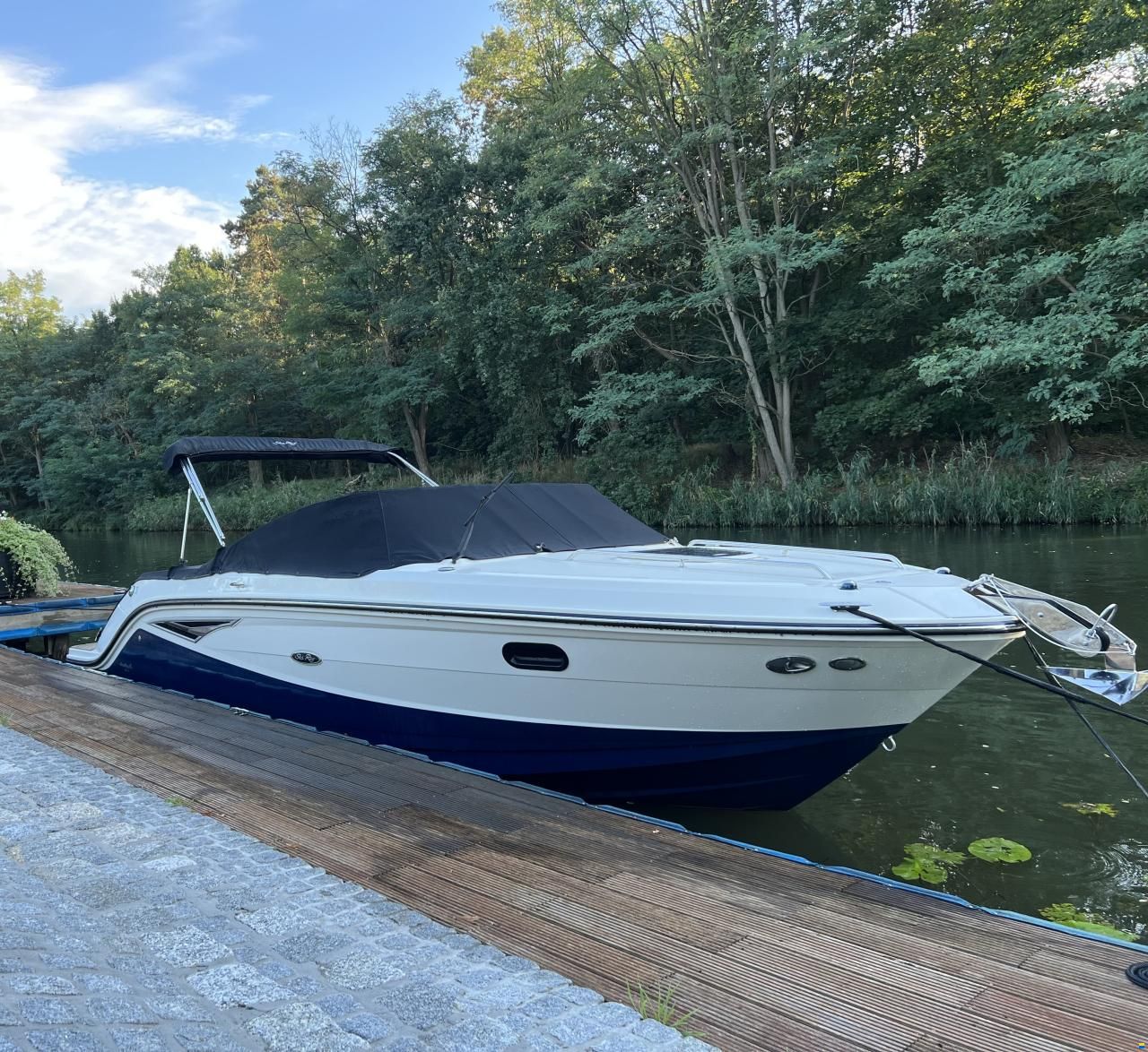 Sea Ray 250 Sunsport