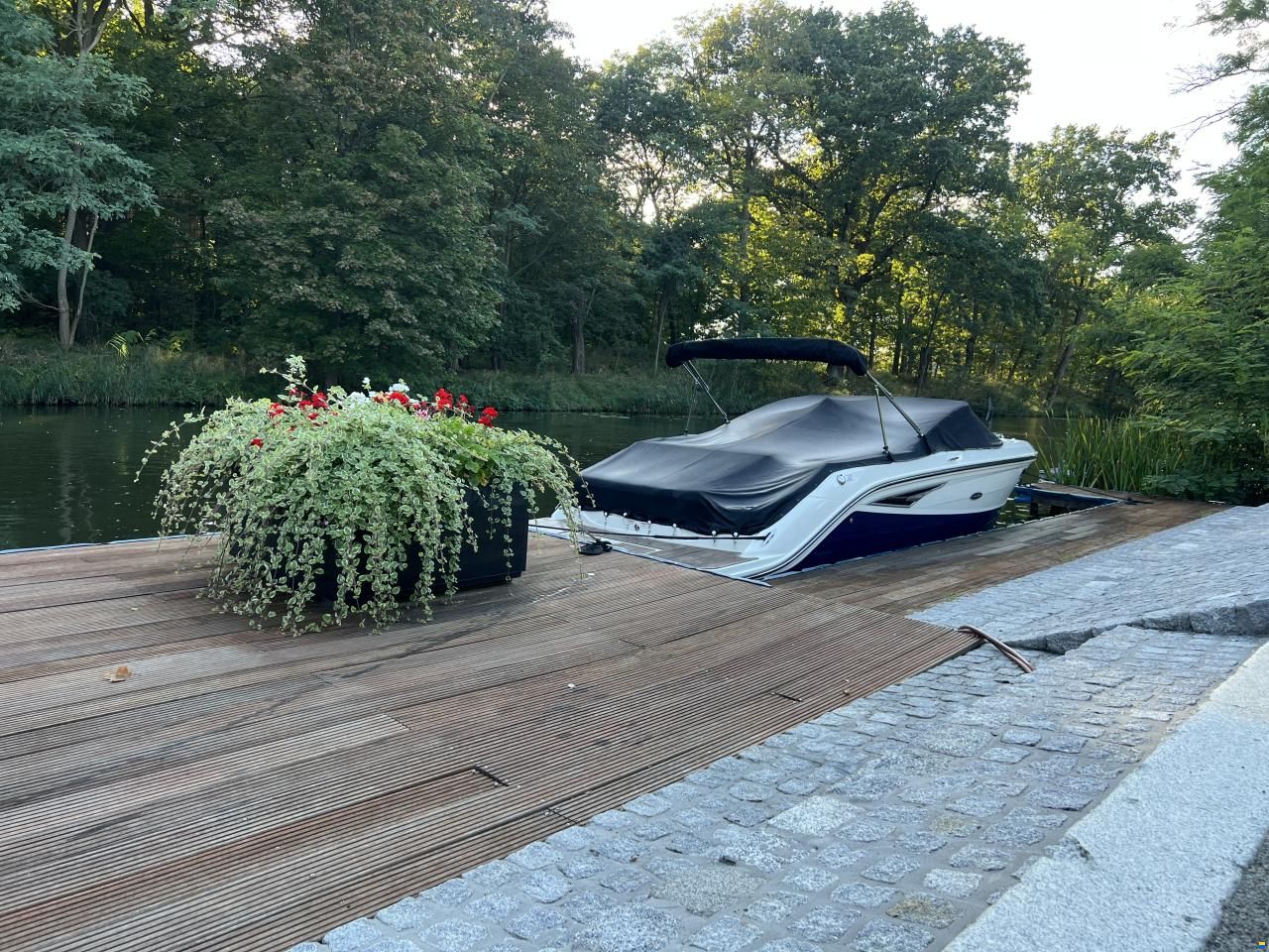 Sea Ray 250 Sunsport