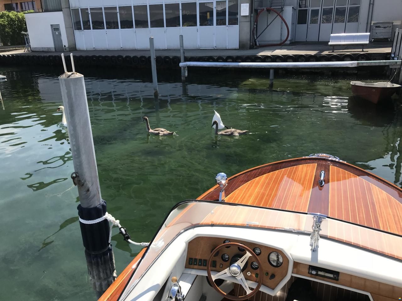 Pedrazzini Capri Super de Luxe