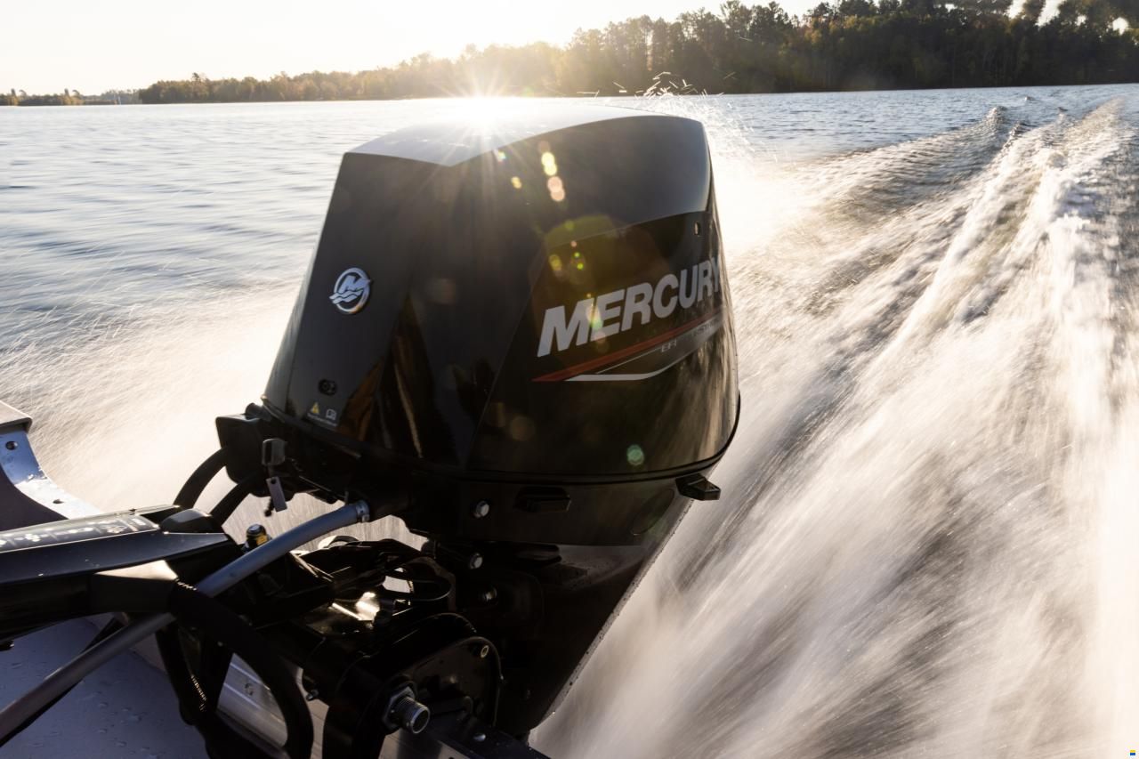 Mercury F 30 EPT EFI