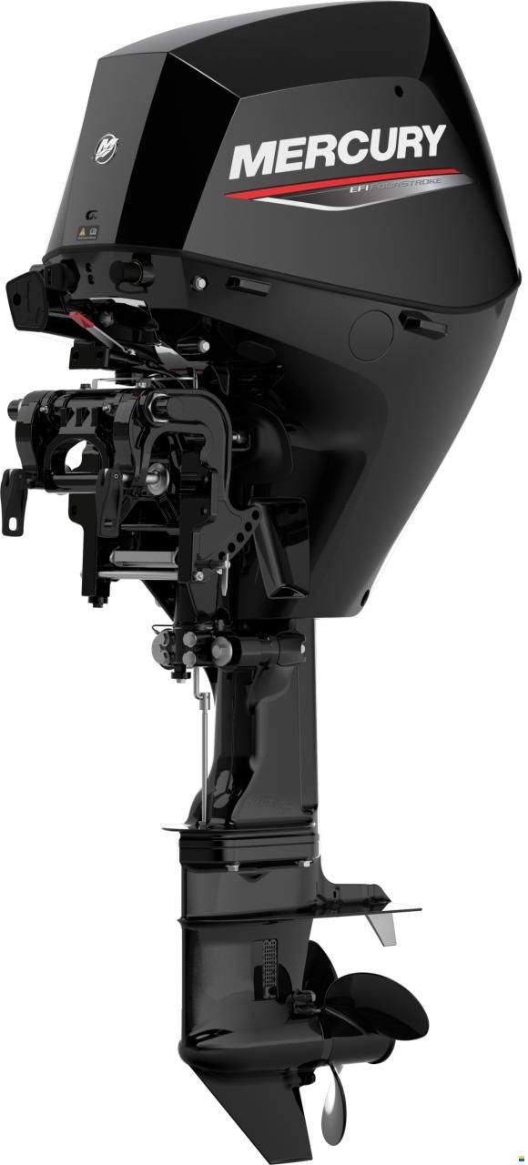 Mercury F 25 EPT EFI
