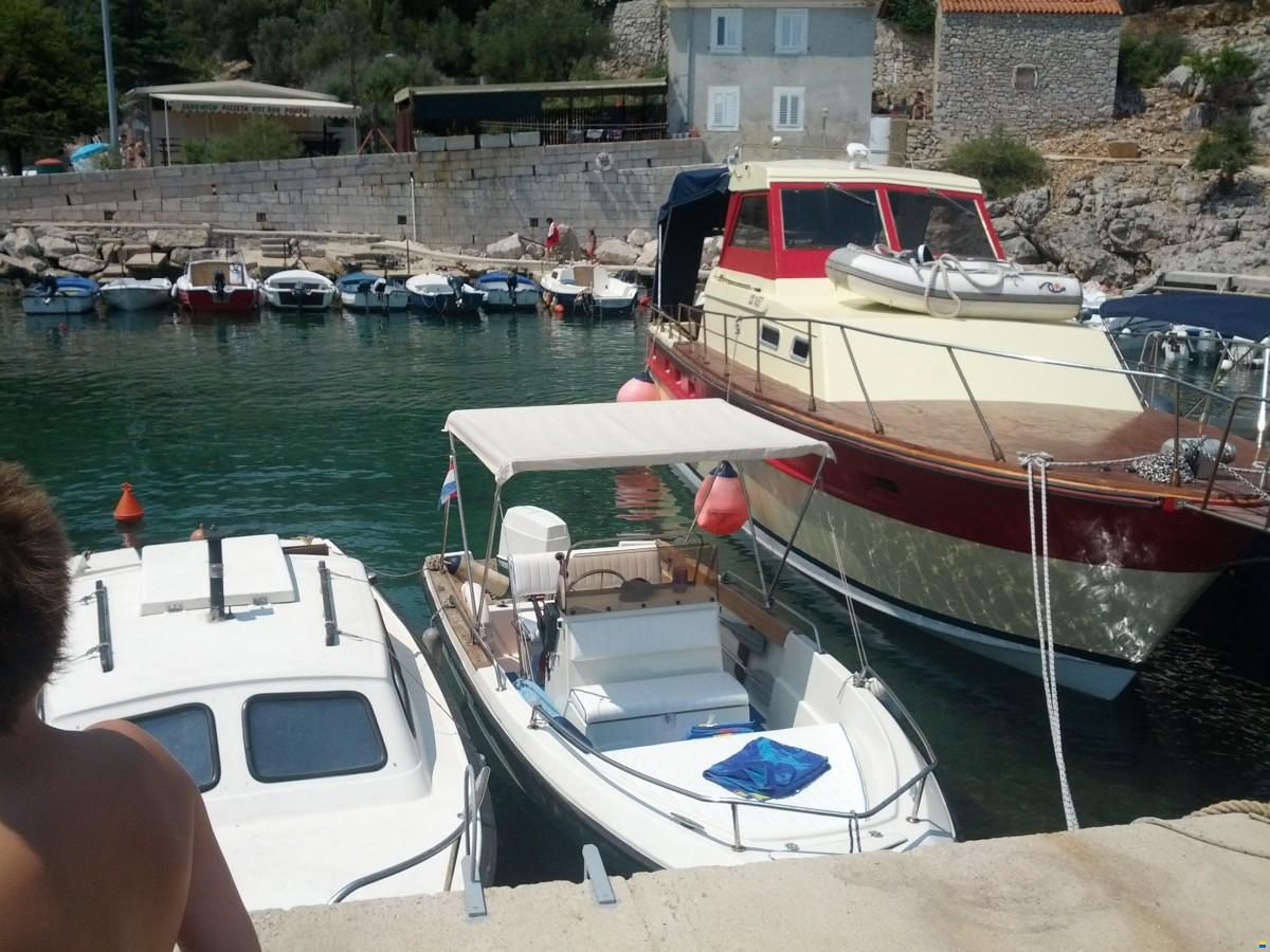 Elan GT 495 F KONSOLENBOOT