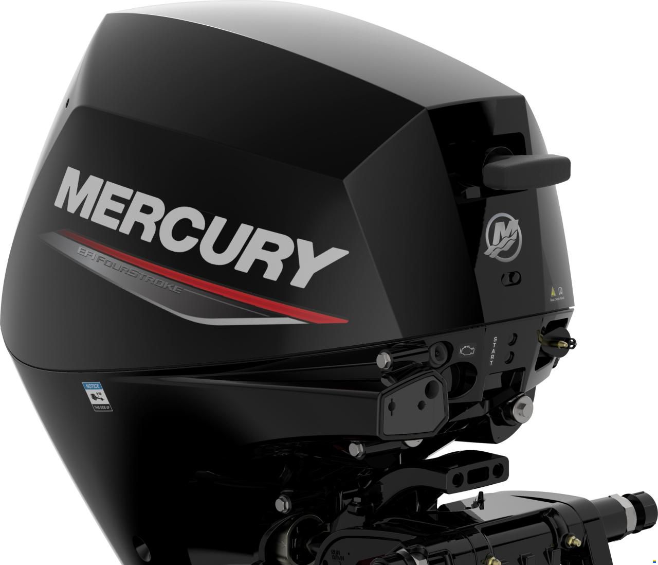Mercury F 15 ELPT EFI