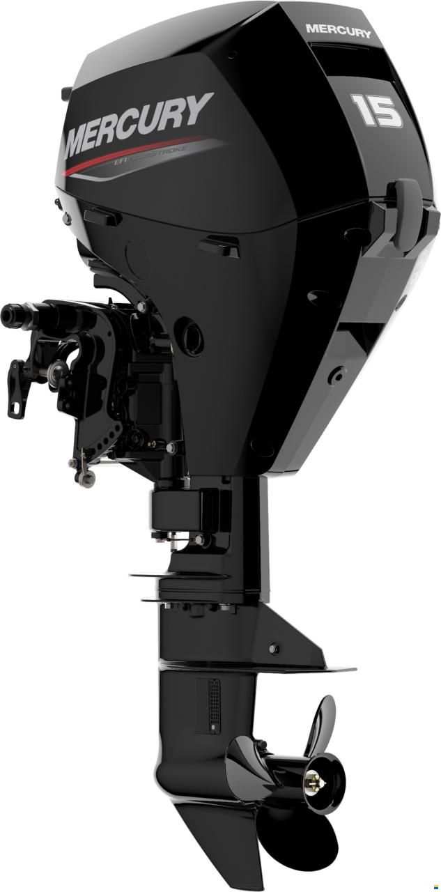 Mercury F 15 EL EFI