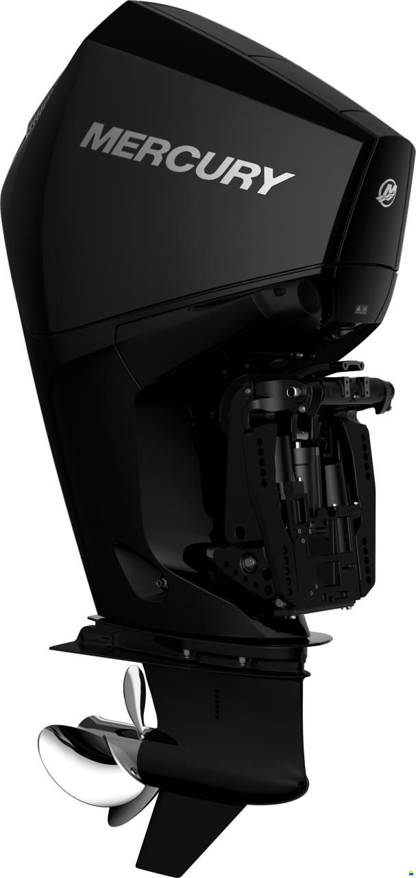 Mercury F 175 XL DS V6