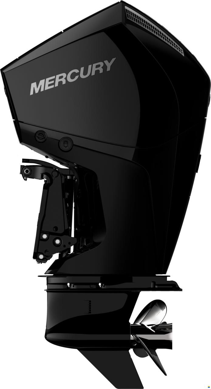 Mercury F 175 XL DS V6