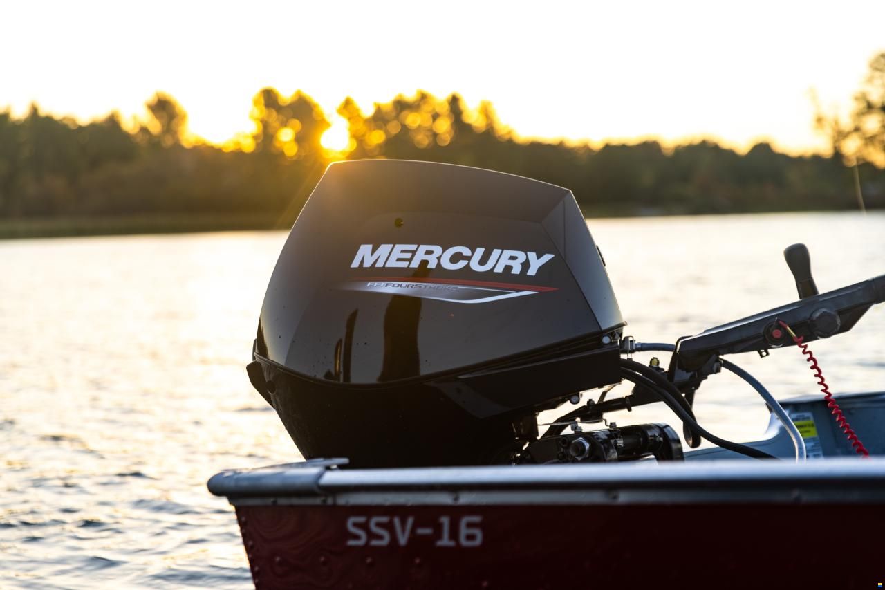 Mercury F 30 ELPT EFI HD