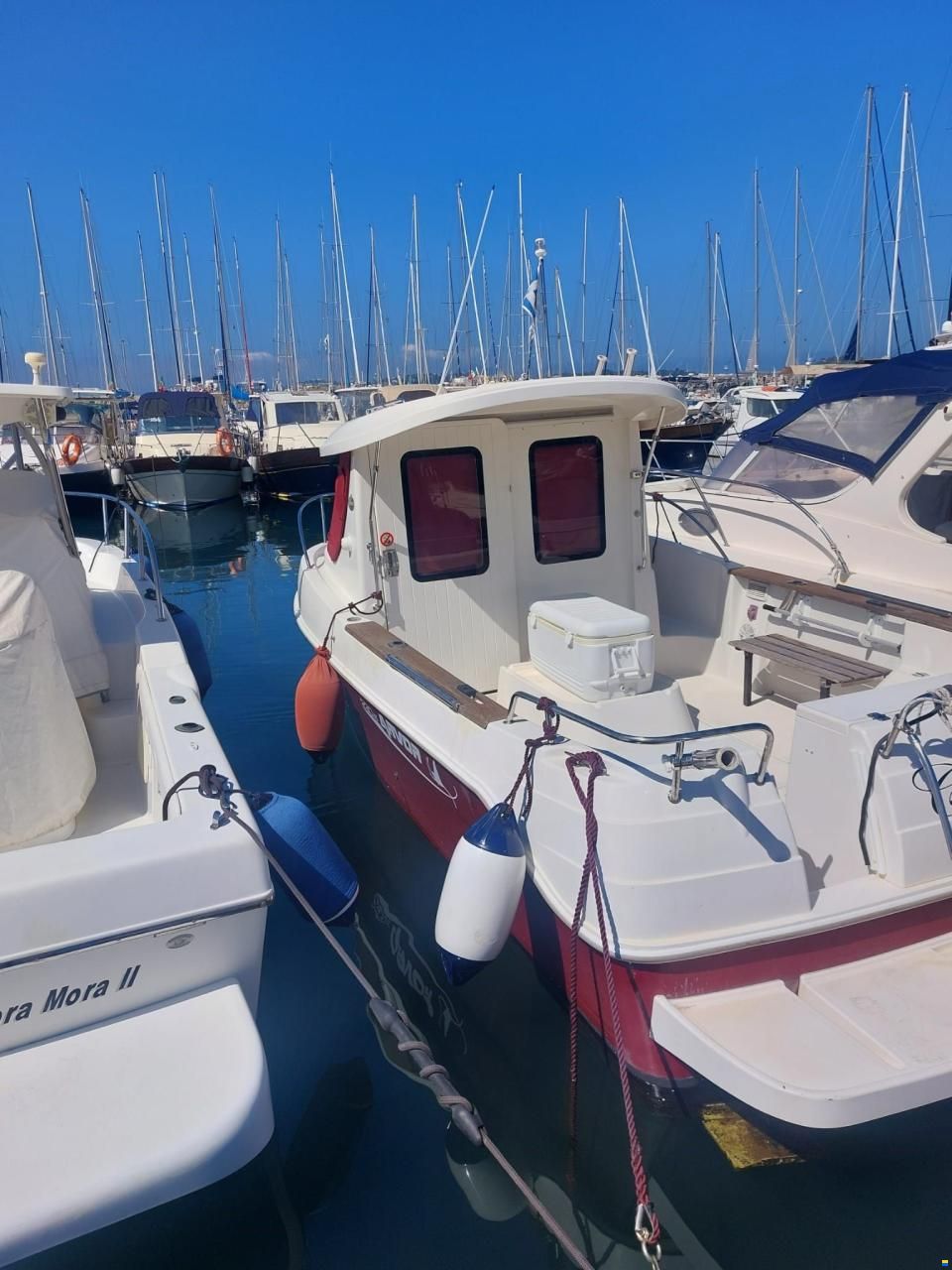 Arvor 230 AS