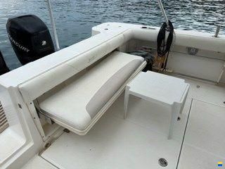 Boston Whaler BOSTON 305 CONQUEST