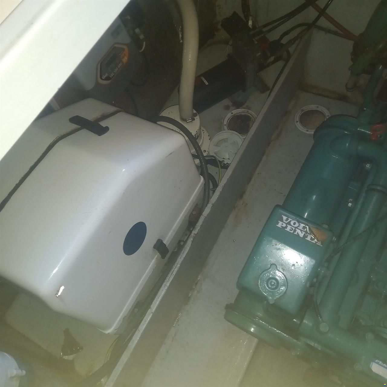 Sealine 365