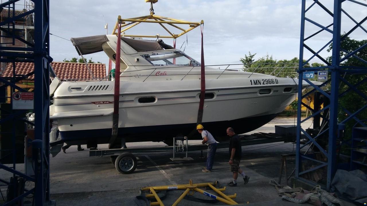 Sealine 365