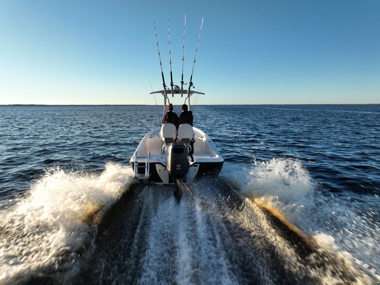 Suzuki DF115BTL-STEALTH