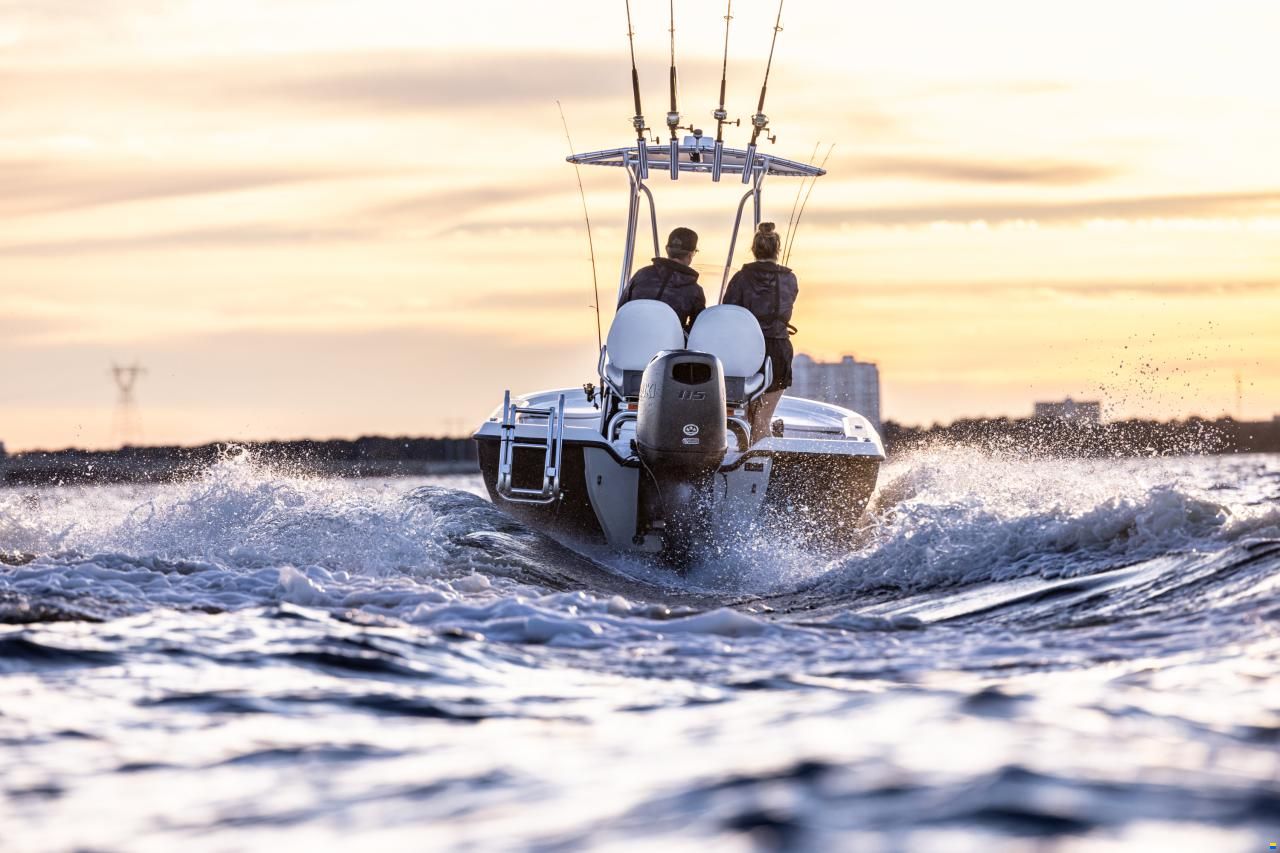 Suzuki DF115BTL-STEALTH