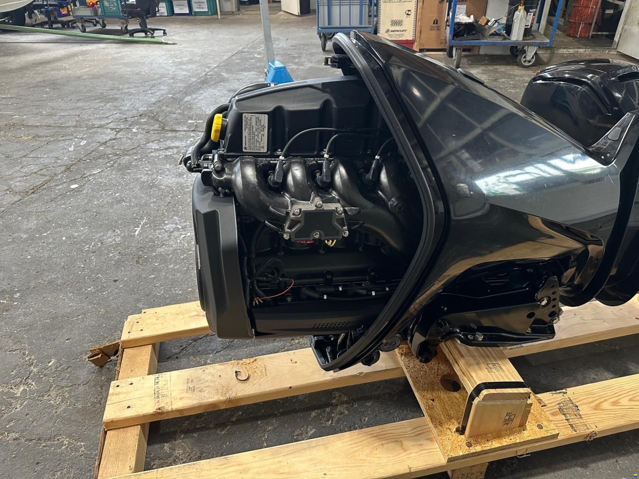 Mercury F100 EFI EXLPT