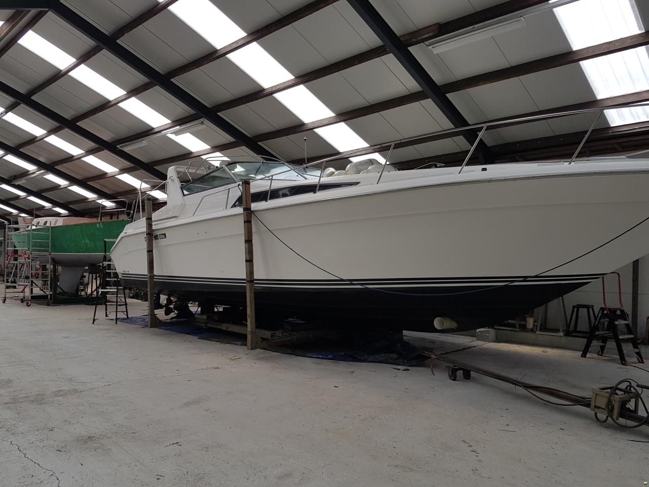 Sea Ray sundancer 420