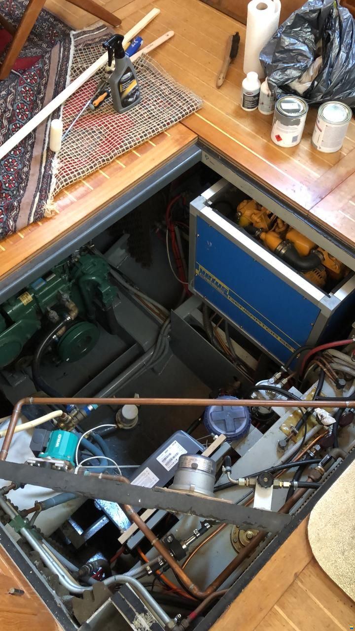 De Steven Smelne 1300