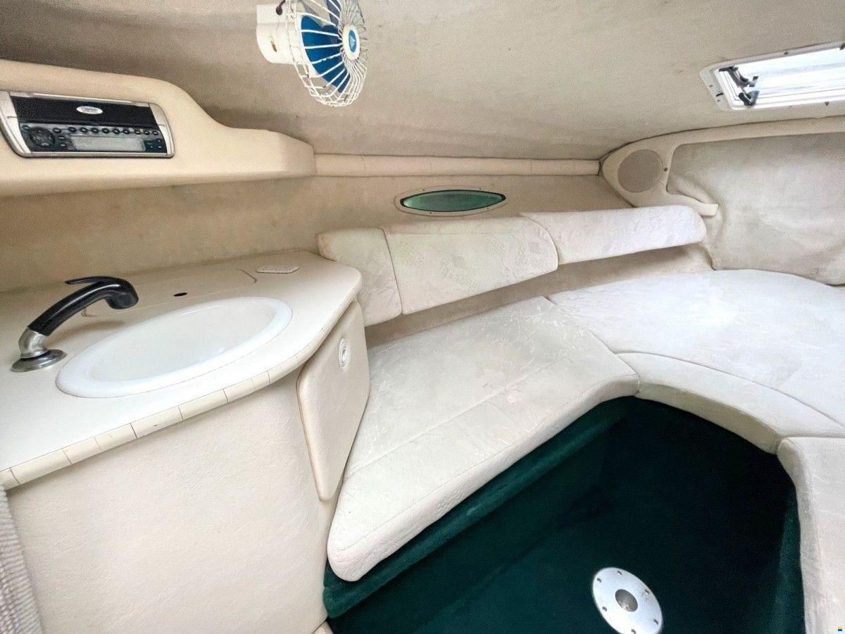 Sea Ray 225