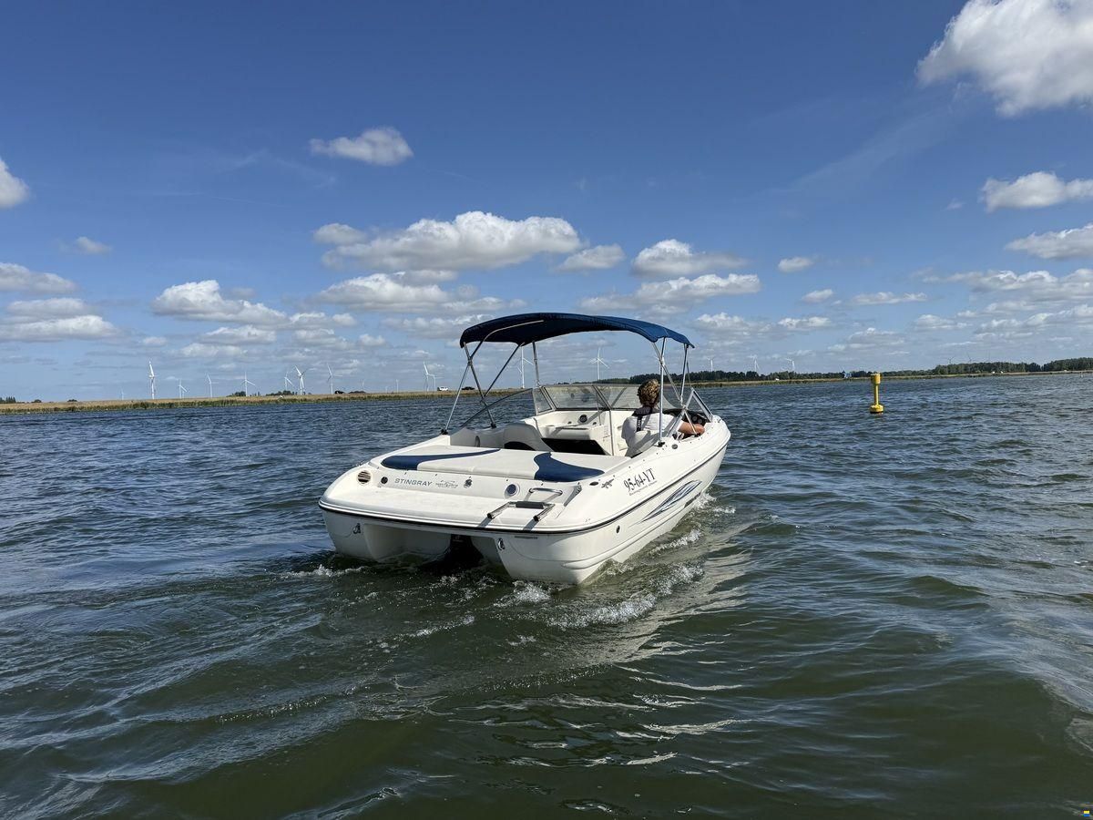 Stingray 195RX