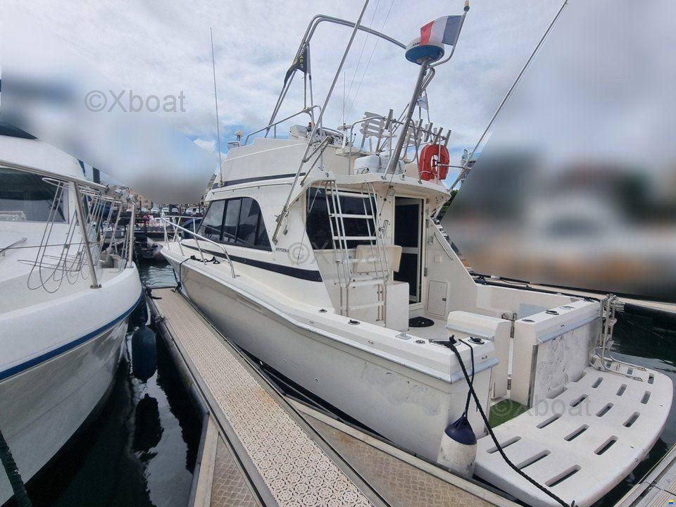 Riviera 33 FLYBRIDGE