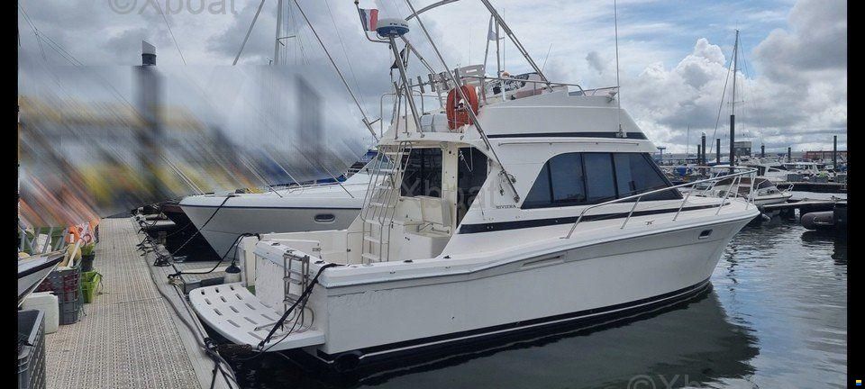 Riviera 33 FLYBRIDGE