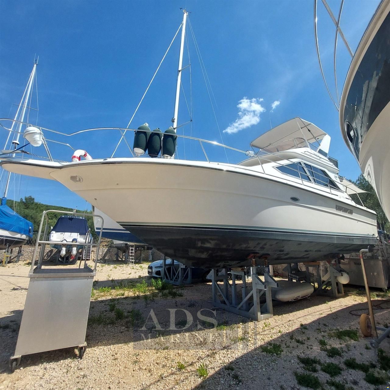 Sea Ray 340 Fly