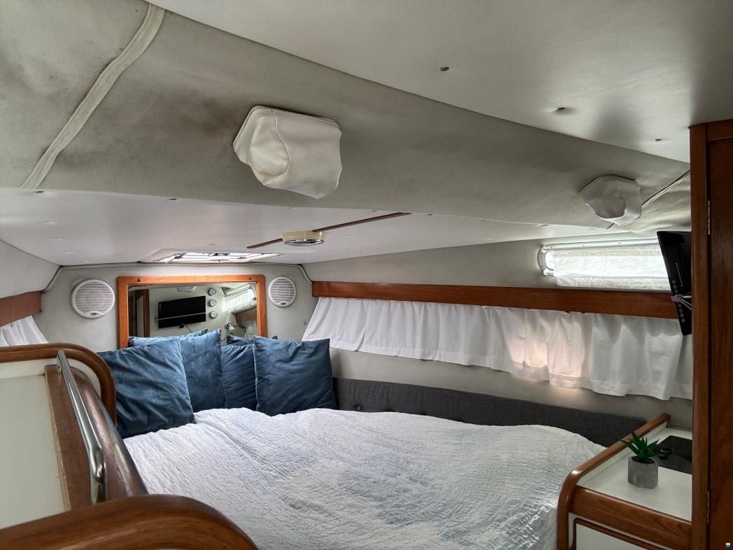 Nimbus 29 DC