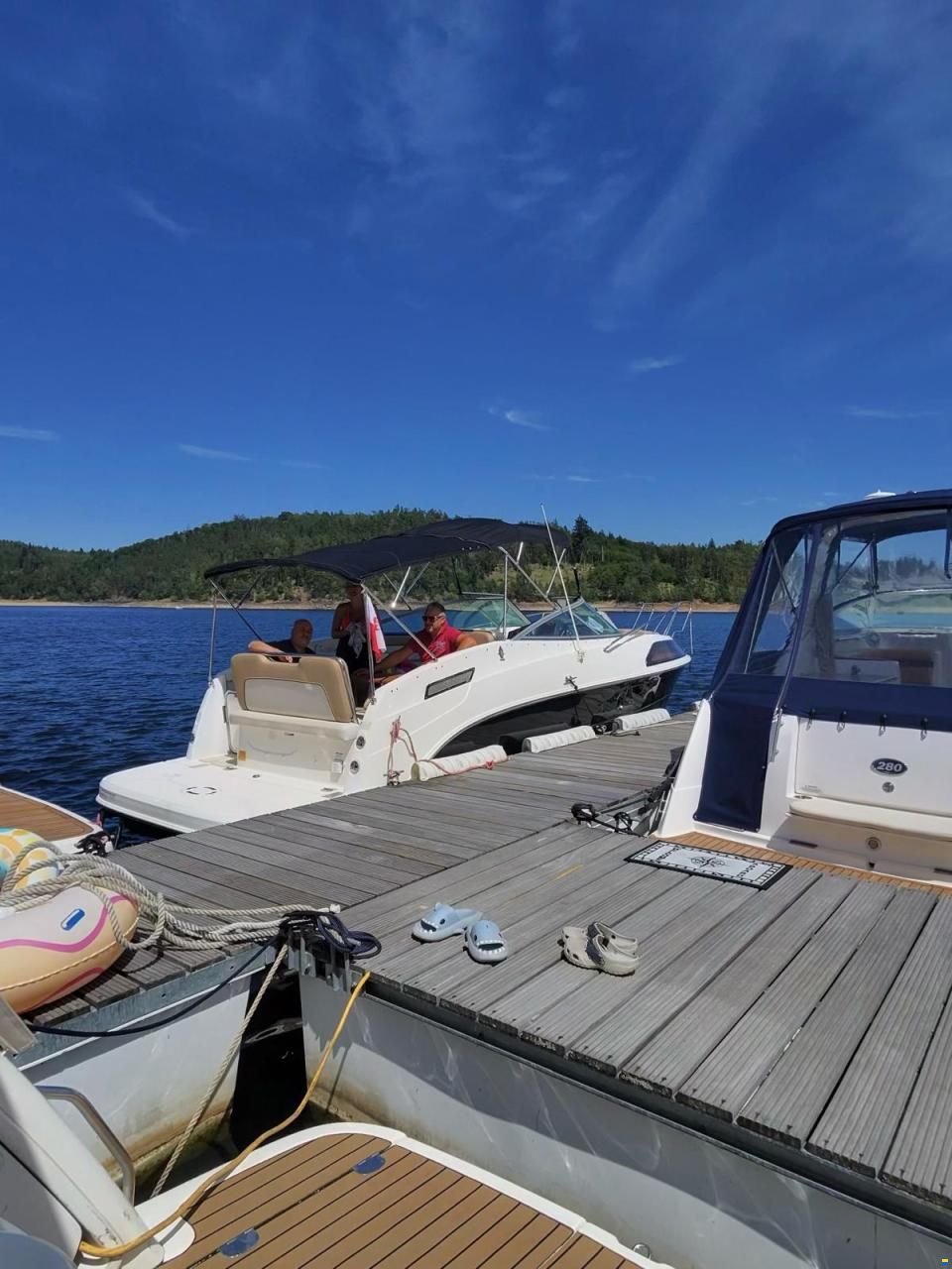 Bayliner 855