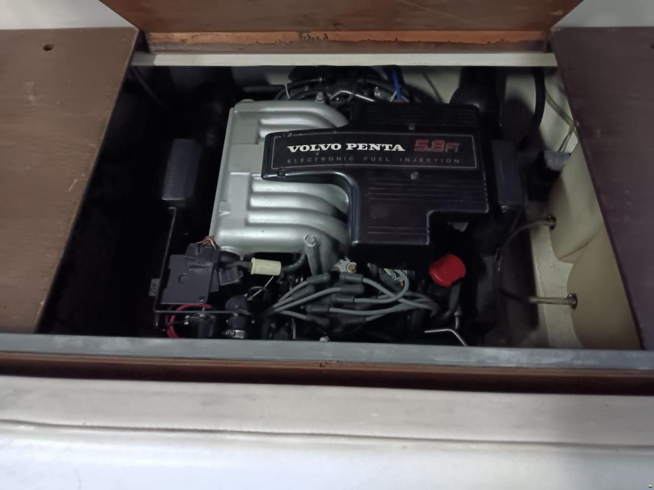 Schweizer Bateaux saphir