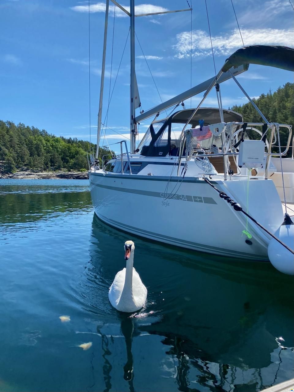 Bavaria 34 Cruiser