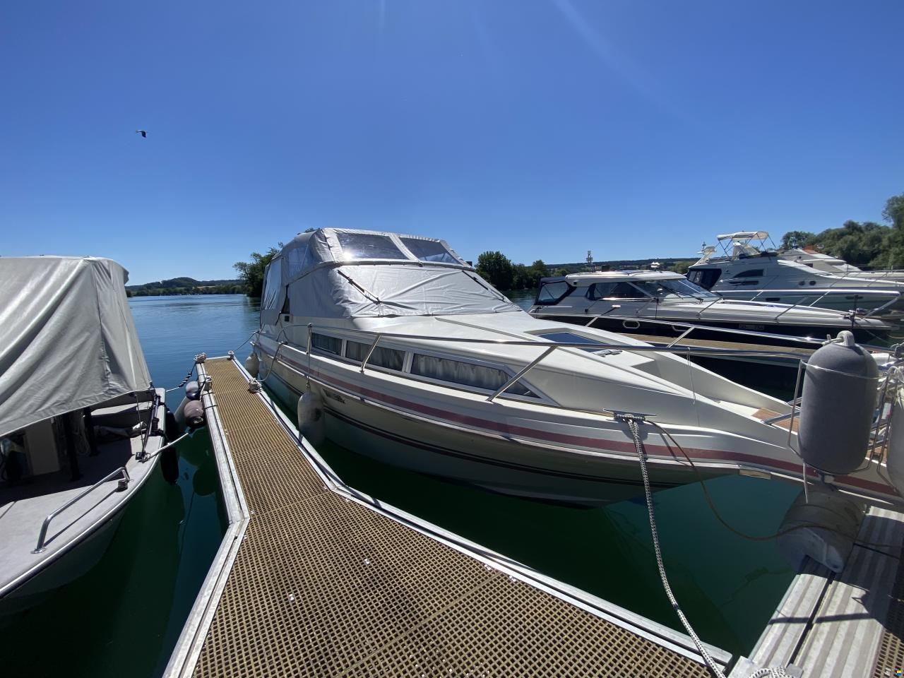 Polar 290 Monaco