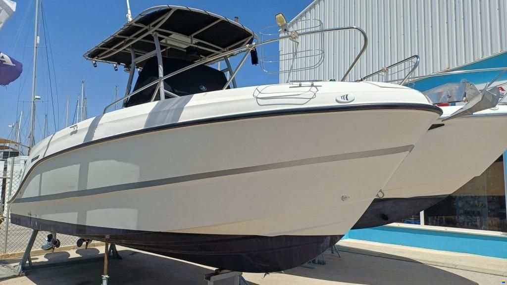 Quicksilver Activ 805 Pro Fish