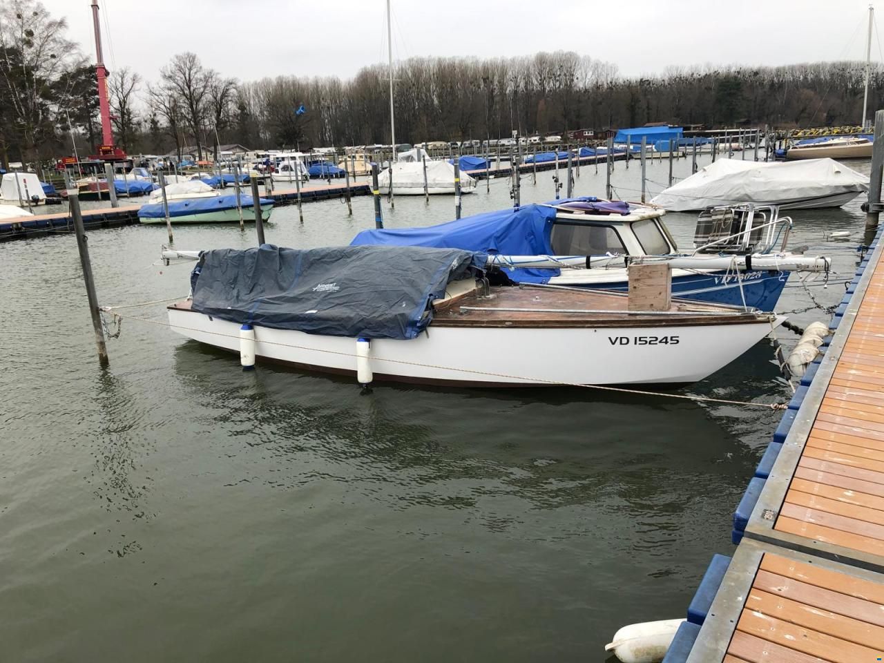 Hofmann CH Schwalbe MC20