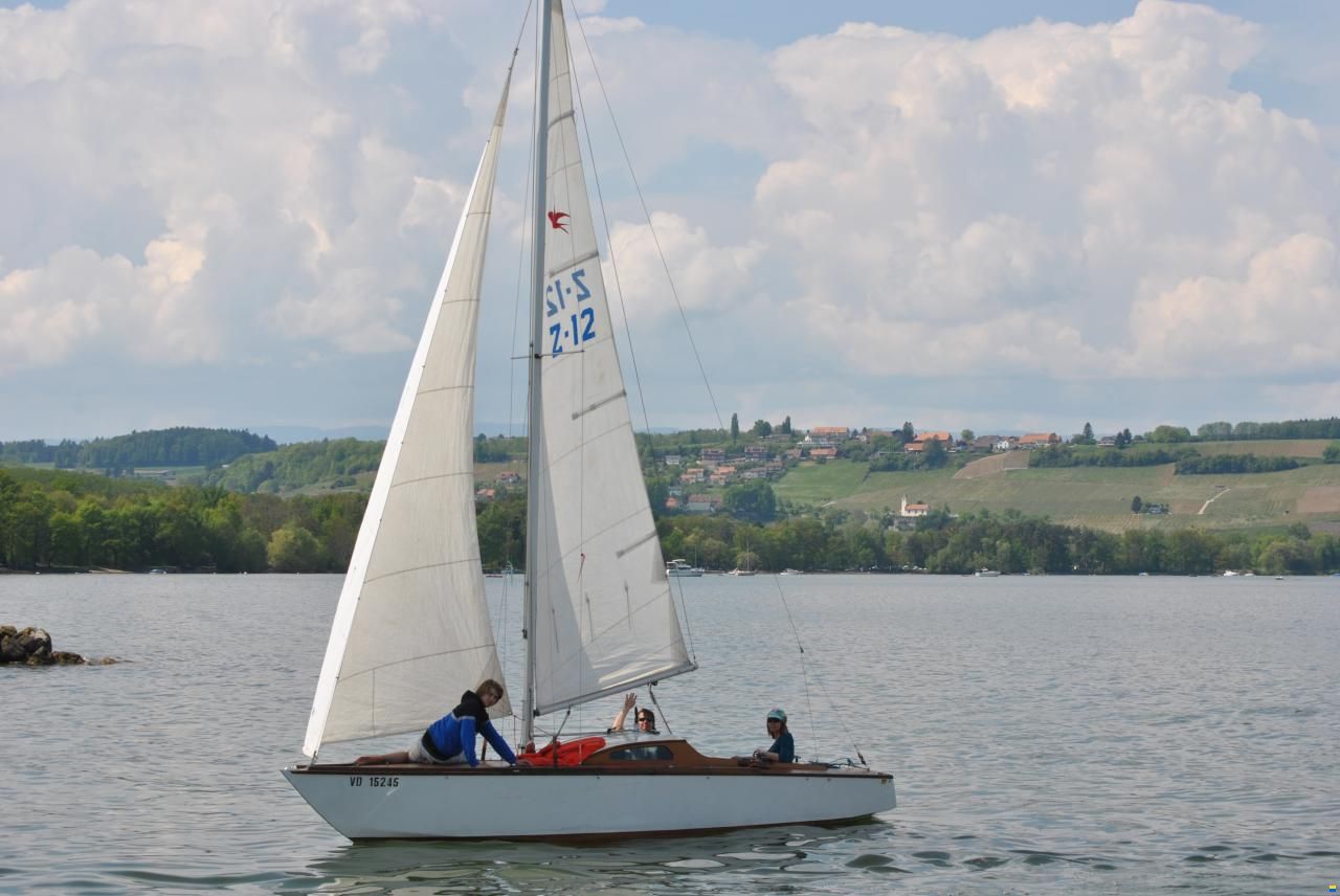 Hofmann CH Schwalbe MC20