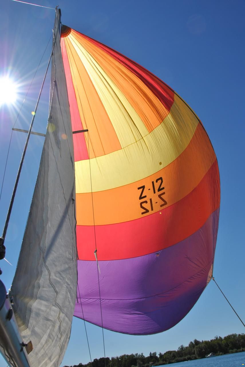 Hofmann CH Schwalbe MC20