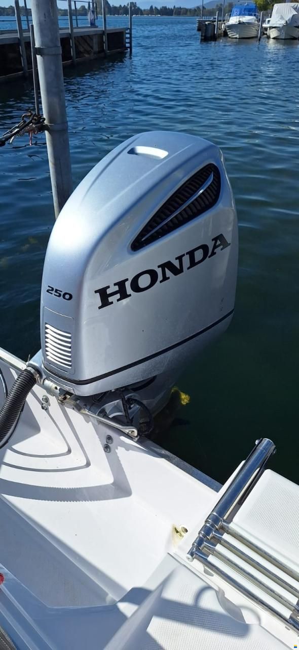 Ranieri Voyager 23 s