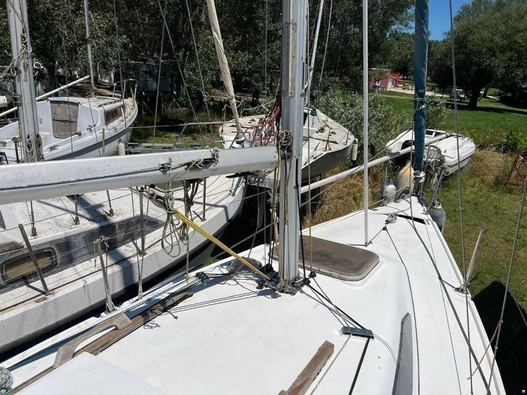 Dullia 25 Furia