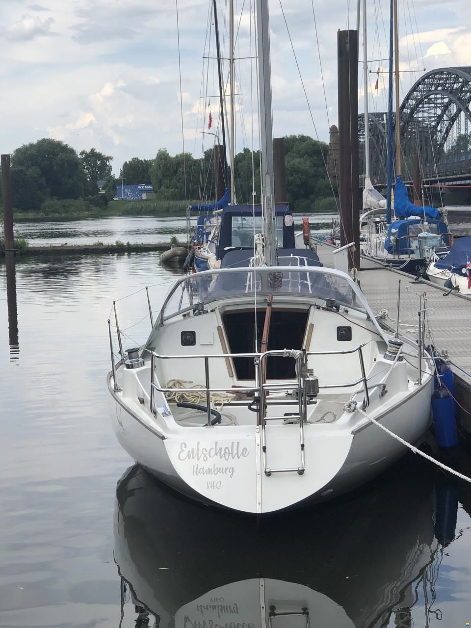 Scampi 30